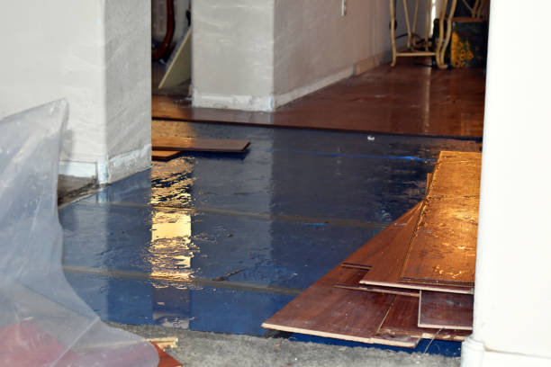 Professional Emergency Water Damage Restoration technician working in Elmore, OH